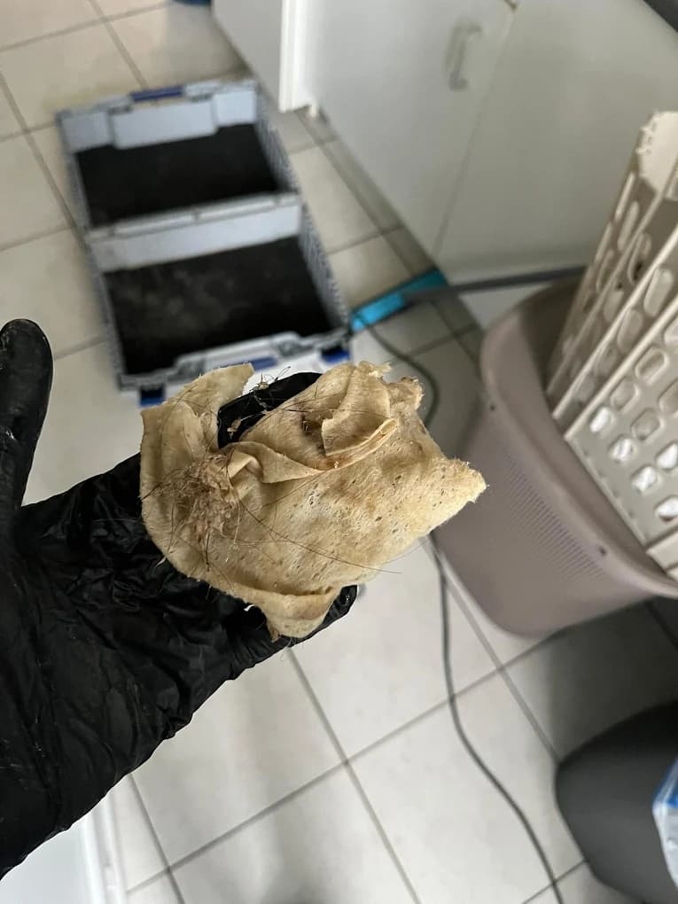 Bonde douche désobstruée sans casse